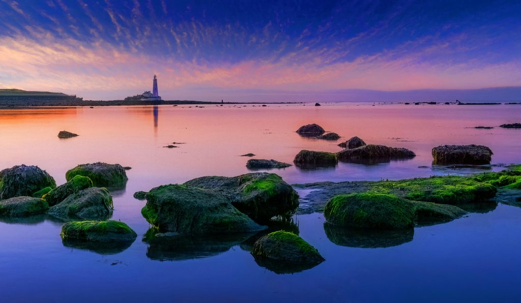 Shows an example of what one might see on a day trip from Newcastle to the coast